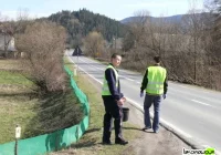 Przenoszą płazy, jest ich coraz mniej - zdjęcie główne