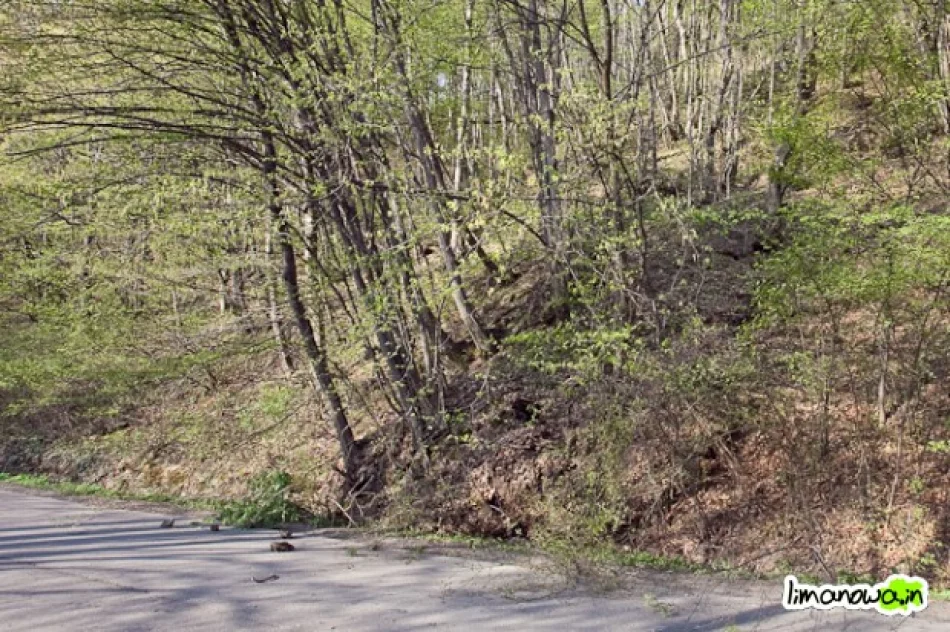 Góra zamknęła drogę - zdjęcie 2