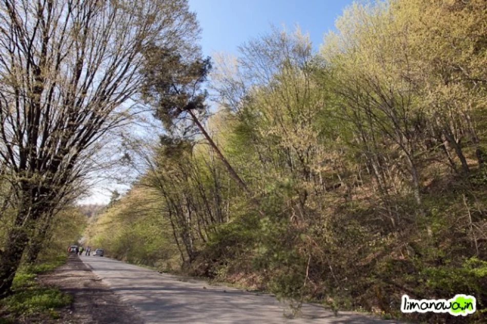 Góra zamknęła drogę - zdjęcie 3