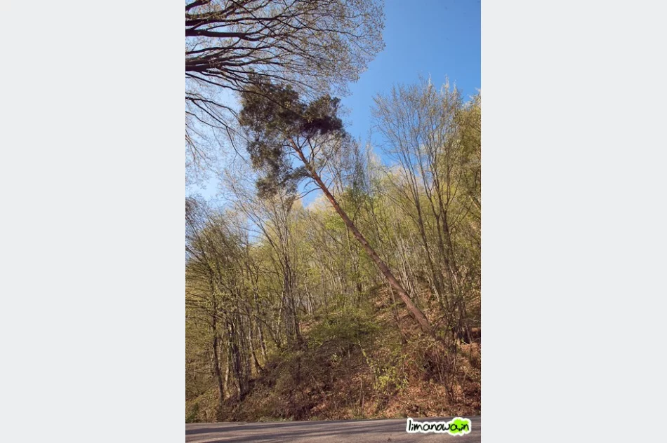 Góra zamknęła drogę - zdjęcie 4