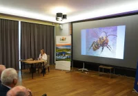 O roli pszczół i bioróżnorodności - zdjęcie główne