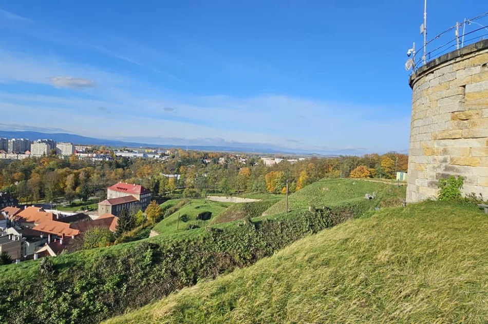 Tona karmy dla zwierząt trafiła do Kłodzka (ZDJĘCIA) - zdjęcie 15
