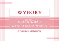 Wyniki głosowania w wyborach na sołtysa sołectwa Stara Wieś I - zdjęcie główne