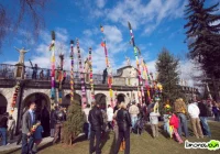 Aż 56 palm wzięło udział w konkursie - zdjęcie główne