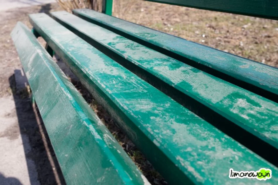 Pierwsze podejście do sprzątania parku - zdjęcie 2