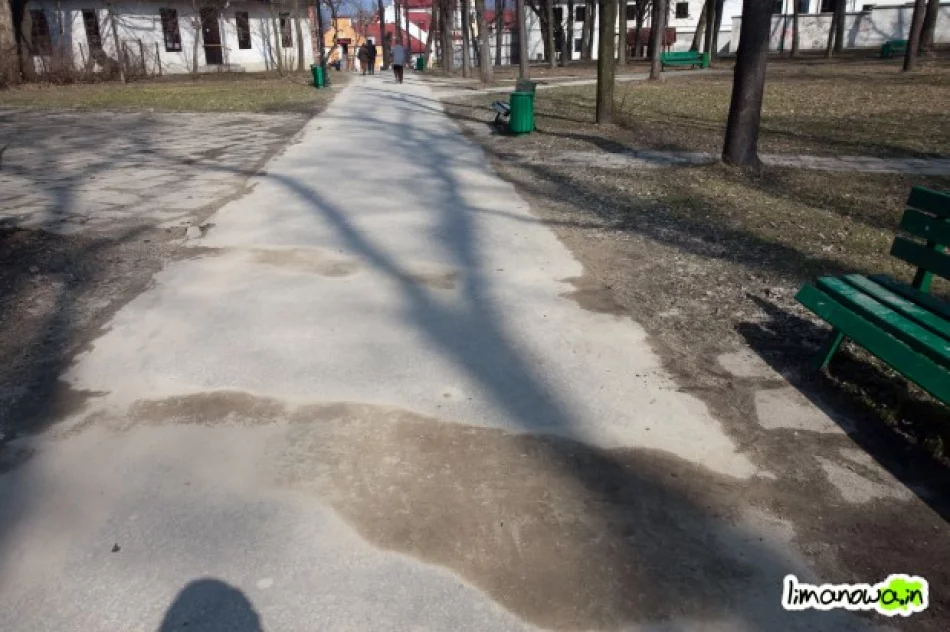 Pierwsze podejście do sprzątania parku - zdjęcie 3