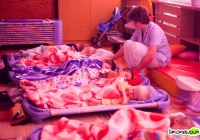 Żłobek jak przychodnia - zdjęcie główne