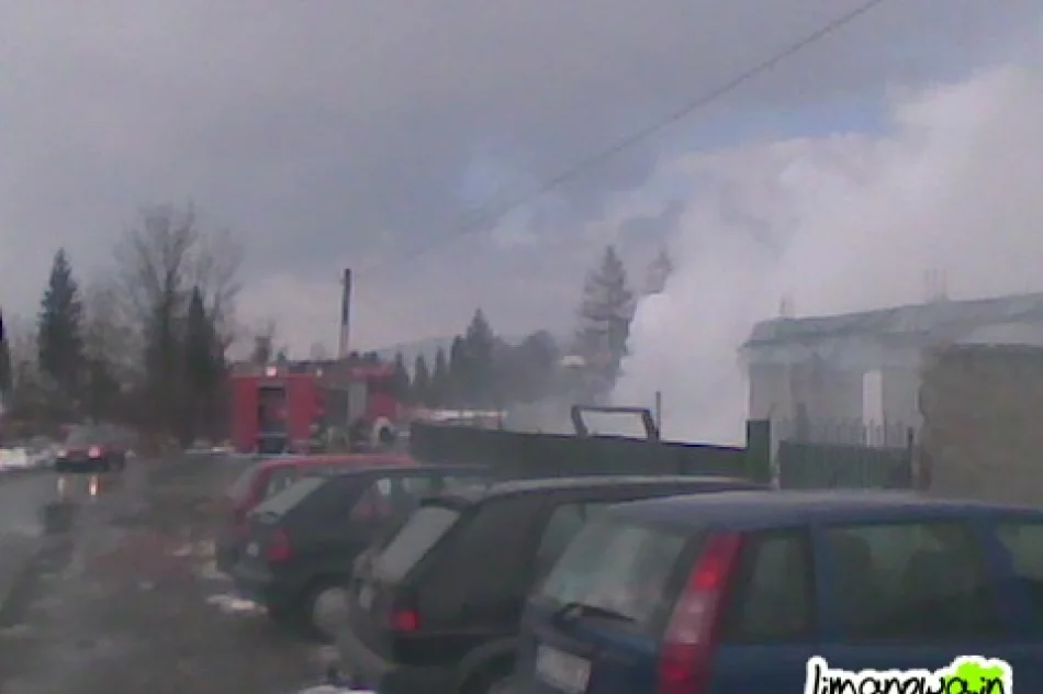 Płonął śmietnik przy cmentarzu - zdjęcie 2