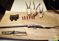 Udane 'polowanie' na kłusownika - zdjęcie główne