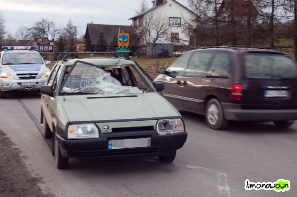 Przyczyną potrącenia było prawdopodobnie wtargnięcie - zdjęcie 3