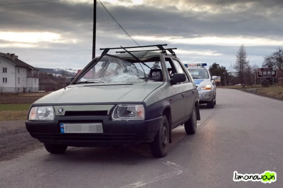 Przyczyną potrącenia było prawdopodobnie wtargnięcie - zdjęcie 4