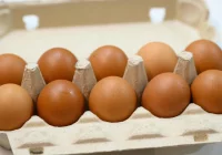 Z powodu ogniska grypy ptaków grozi niedobór jaj - zdjęcie główne