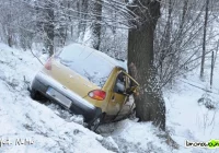 Matiz uderzył w drzewo - zdjęcie główne