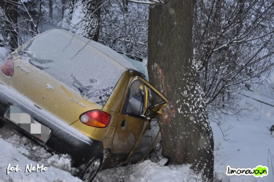 Matiz uderzył w drzewo - zdjęcie 3