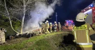 Pożar suszarni owoców - budynek gospodarczy spłonął - zdjęcie 2