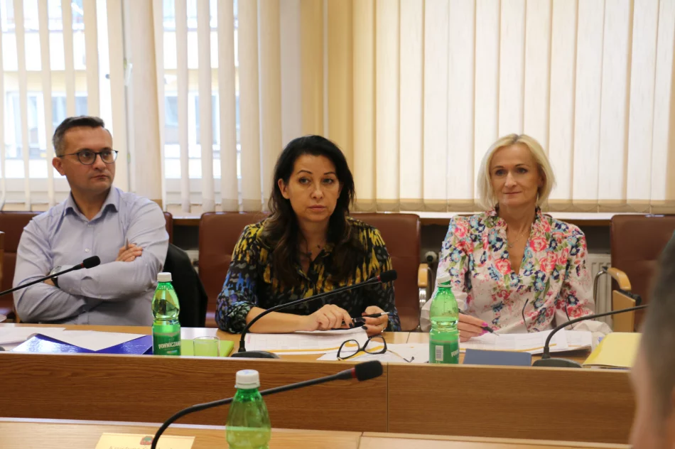 Partnerstwo Miast i Gmin Powiatu Limanowskiego na rzecz ożywienia gospodarczego i wspólnej realizacji przedsięwzięć - zdjęcie 3