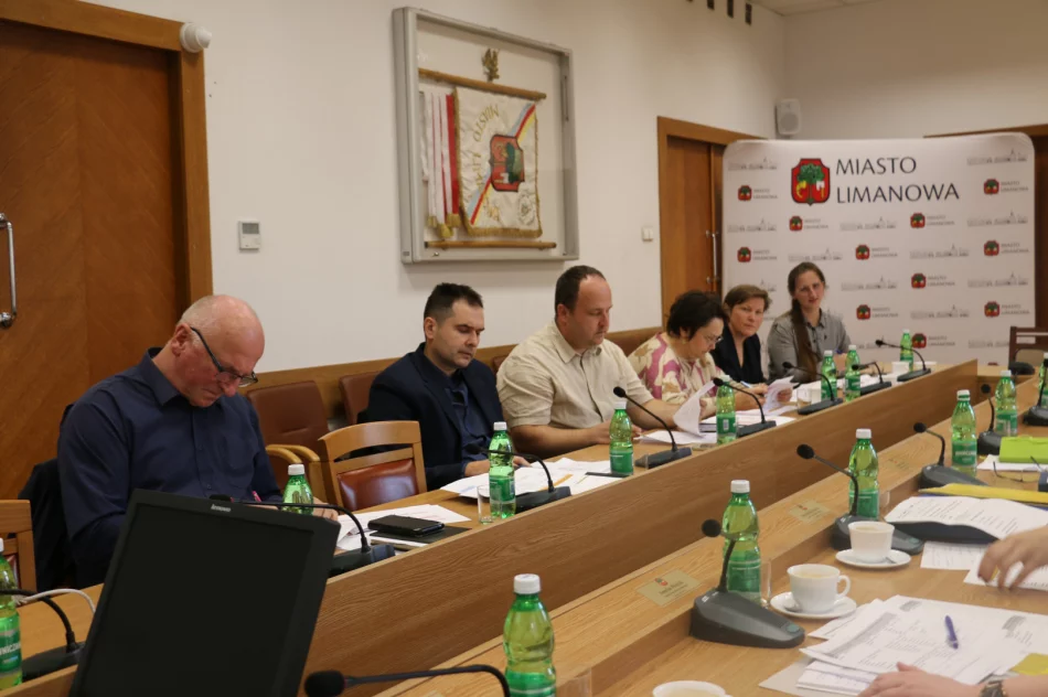 Partnerstwo Miast i Gmin Powiatu Limanowskiego na rzecz ożywienia gospodarczego i wspólnej realizacji przedsięwzięć - zdjęcie 5