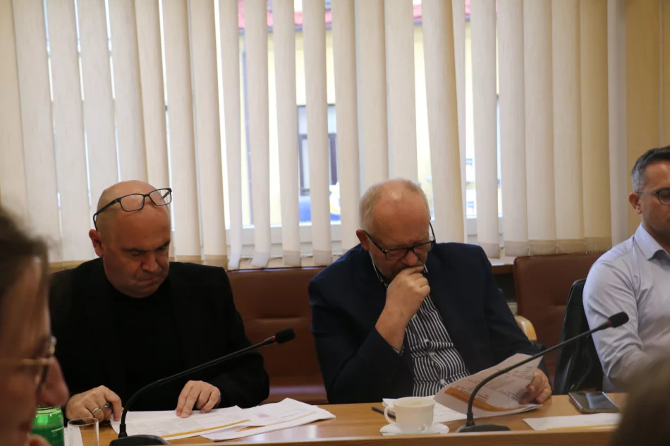 Partnerstwo Miast i Gmin Powiatu Limanowskiego na rzecz ożywienia gospodarczego i wspólnej realizacji przedsięwzięć - zdjęcie 8