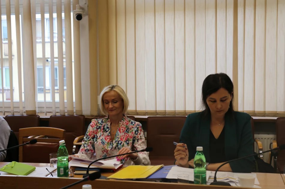 Partnerstwo Miast i Gmin Powiatu Limanowskiego na rzecz ożywienia gospodarczego i wspólnej realizacji przedsięwzięć - zdjęcie 11