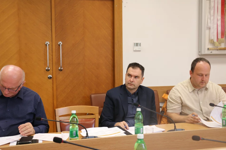 Partnerstwo Miast i Gmin Powiatu Limanowskiego na rzecz ożywienia gospodarczego i wspólnej realizacji przedsięwzięć - zdjęcie 14