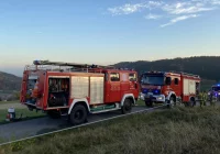 Zapaliła się ściółka w lesie - interwencja strażaków z wykorzystaniem quada - zdjęcie główne