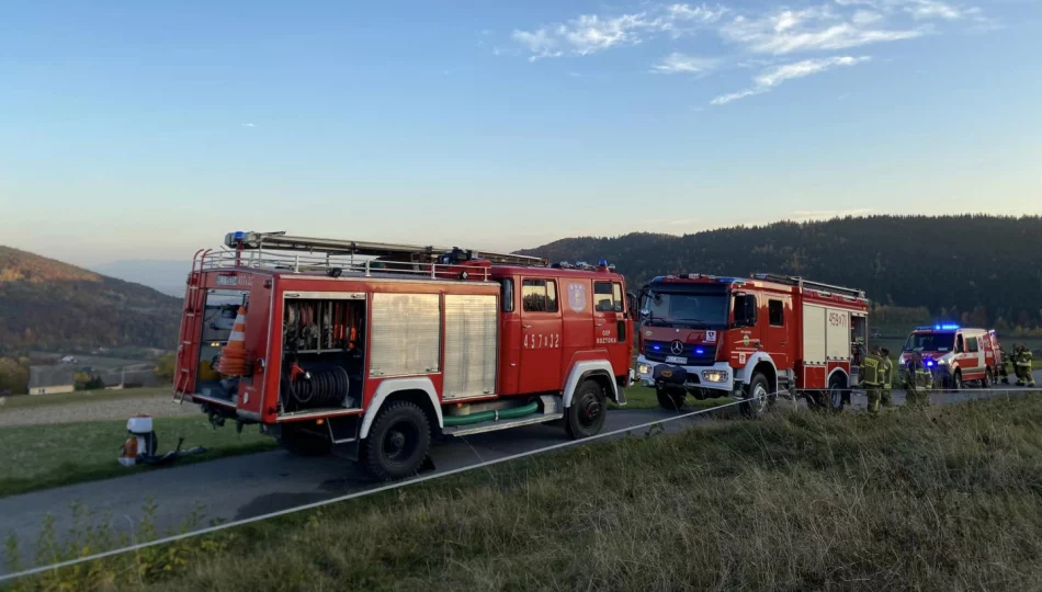 Zapaliła się ściółka w lesie - interwencja strażaków z wykorzystaniem quada - zdjęcie 1