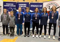 Znakomite wyniki w Pucharze Polski - zdjęcie główne