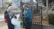Kolejna udana kwesta na rzecz ratowania zabytkowych nagrobków w Łososinie Górnej - zdjęcie 3