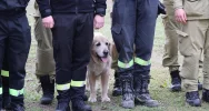 Ćwiczenia USAR POLAND na Limanowszczyźnie - zdjęcie 4