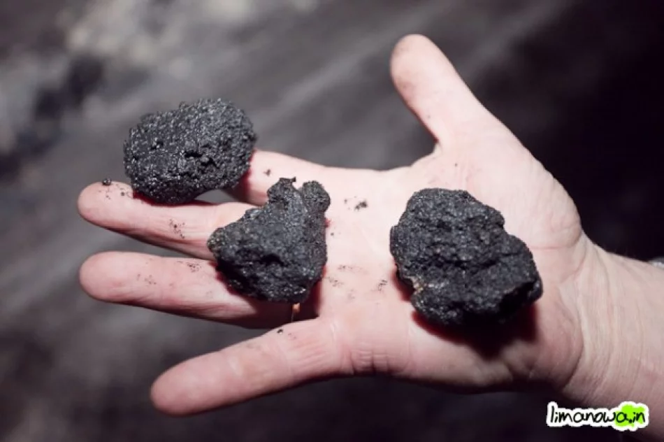 Ślisko – samochody w rowach - zdjęcie 3