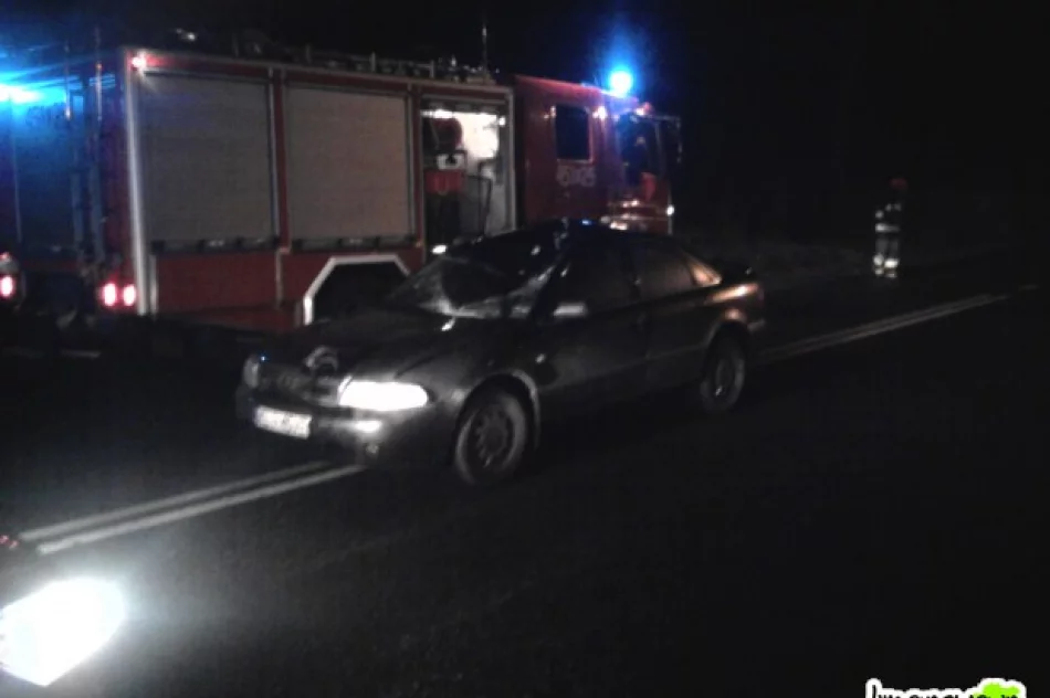 Śmierć 25.letniego pieszego (zdjęcia) - zdjęcie 2