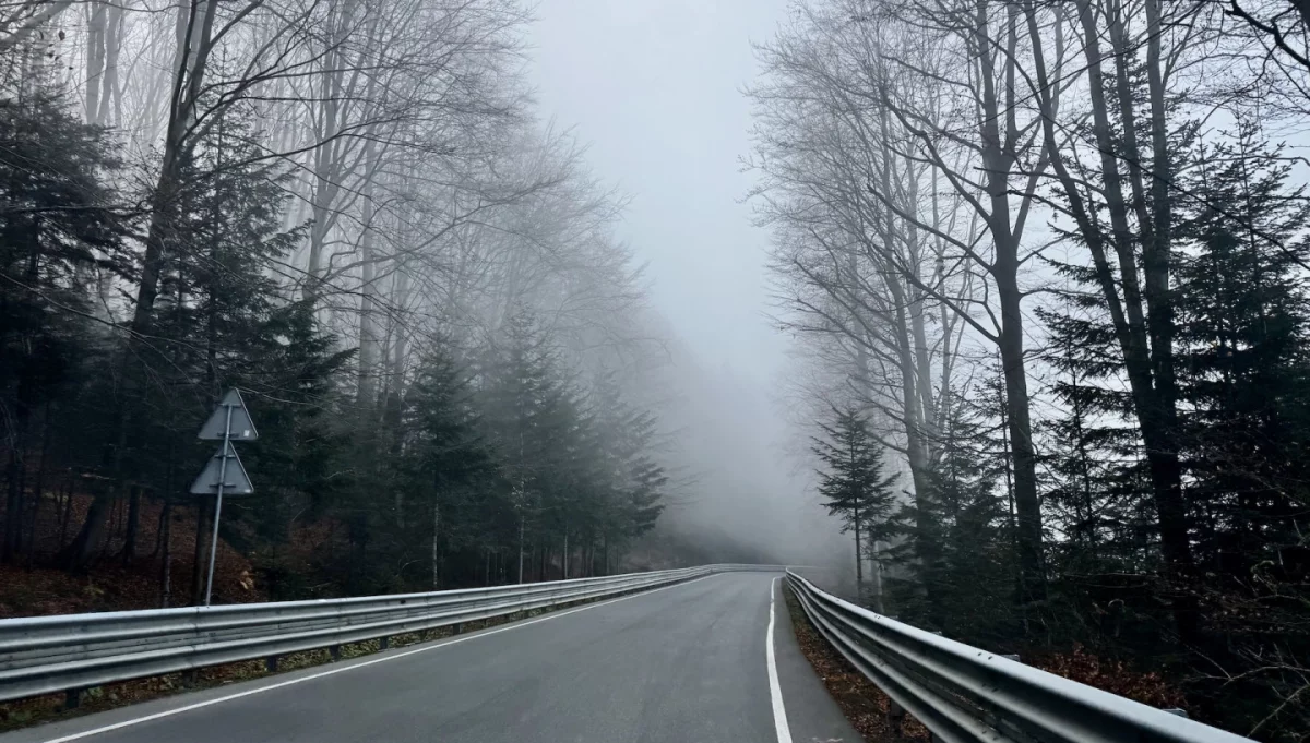 Dzisiejsza mgła na drodze powiatowej Limanowa - Kamienica