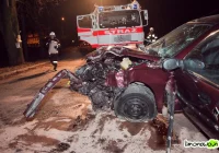 Renault uderzyło w drzewo - zdjęcie główne