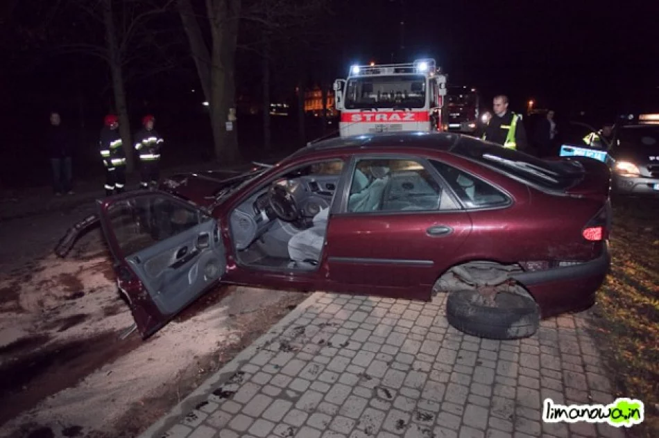 Renault uderzyło w drzewo - zdjęcie 3