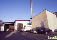 Byk uciekł sprzed rzeźni - zdjęcie główne