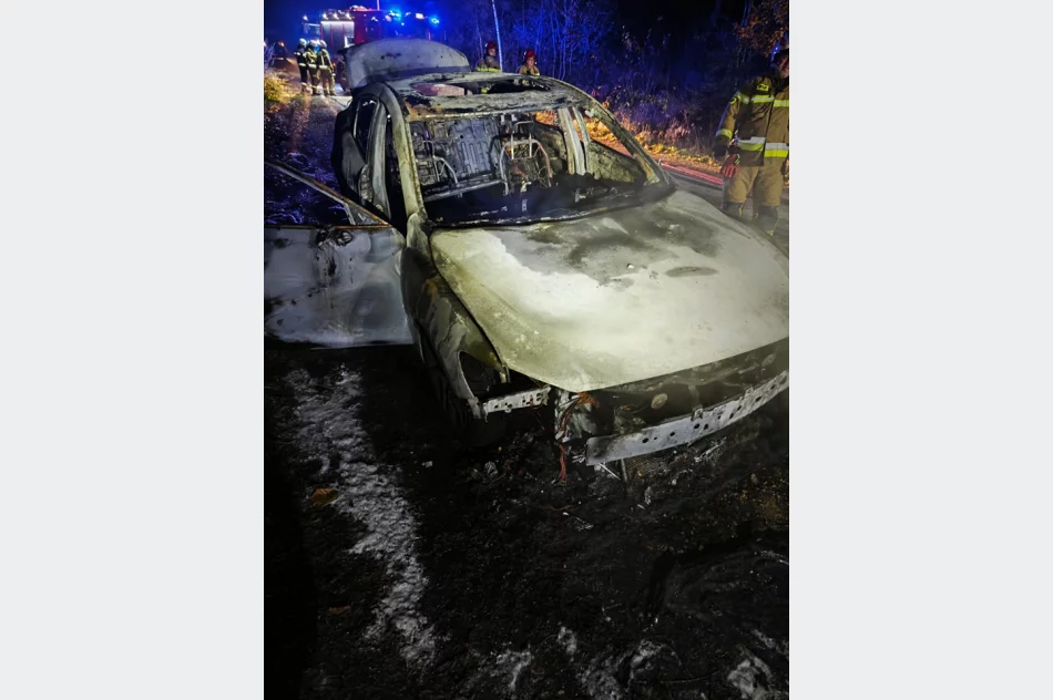 Pożar samochodu osobowego  - zdjęcie 3