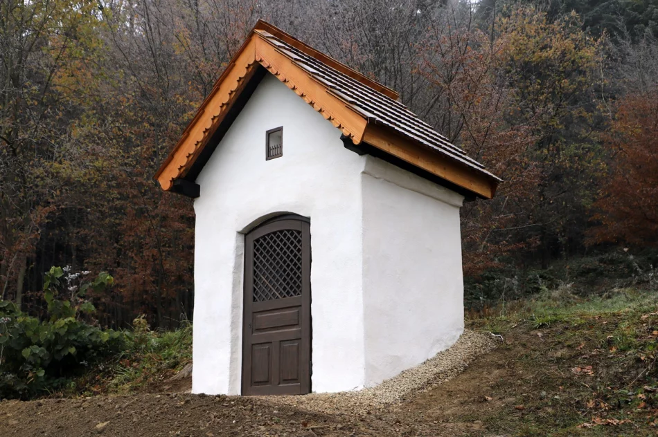 Odnowiono murowaną kapliczkę w Pisarzowej „Podgrabie" - zdjęcie 20
