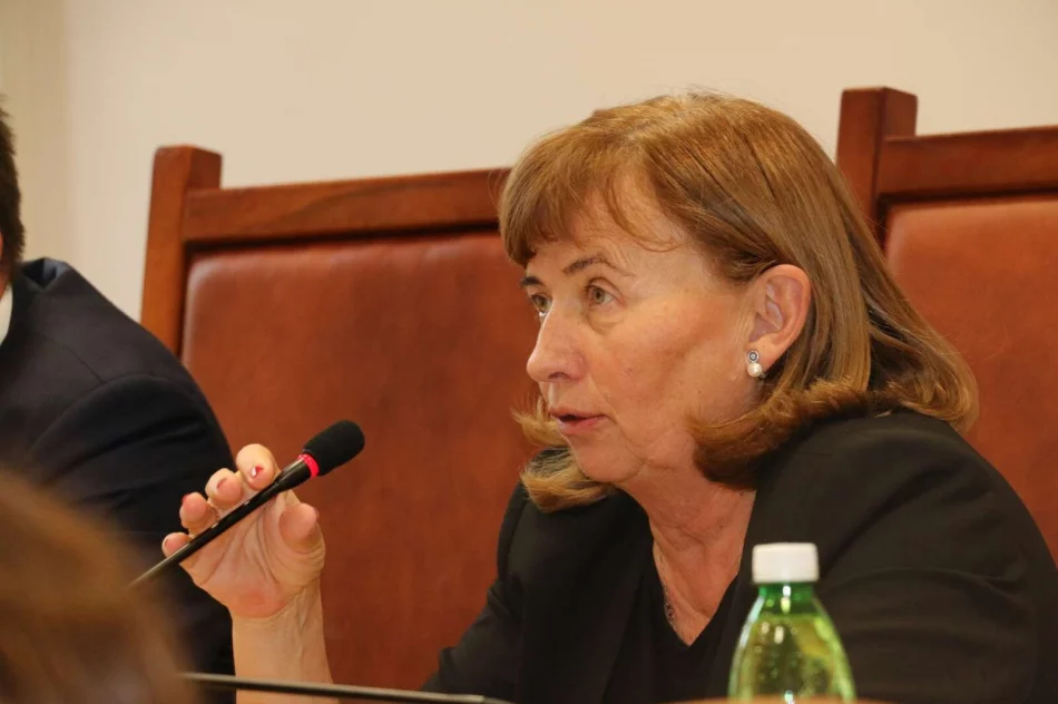 Spotkanie z GDDKiA w sprawie obwodnicy. Decyzja środowiskowa jeszcze w tym roku? - zdjęcie 11
