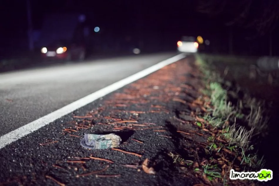 Zmarł potrącony pieszy - zdjęcie 2