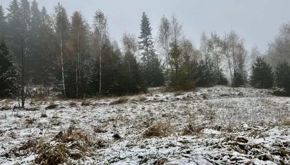 Poniedziałek i wtorek z intensywnymi opadami deszczu i śniegu; temperatura do minus 10 st. C - zdjęcie 1