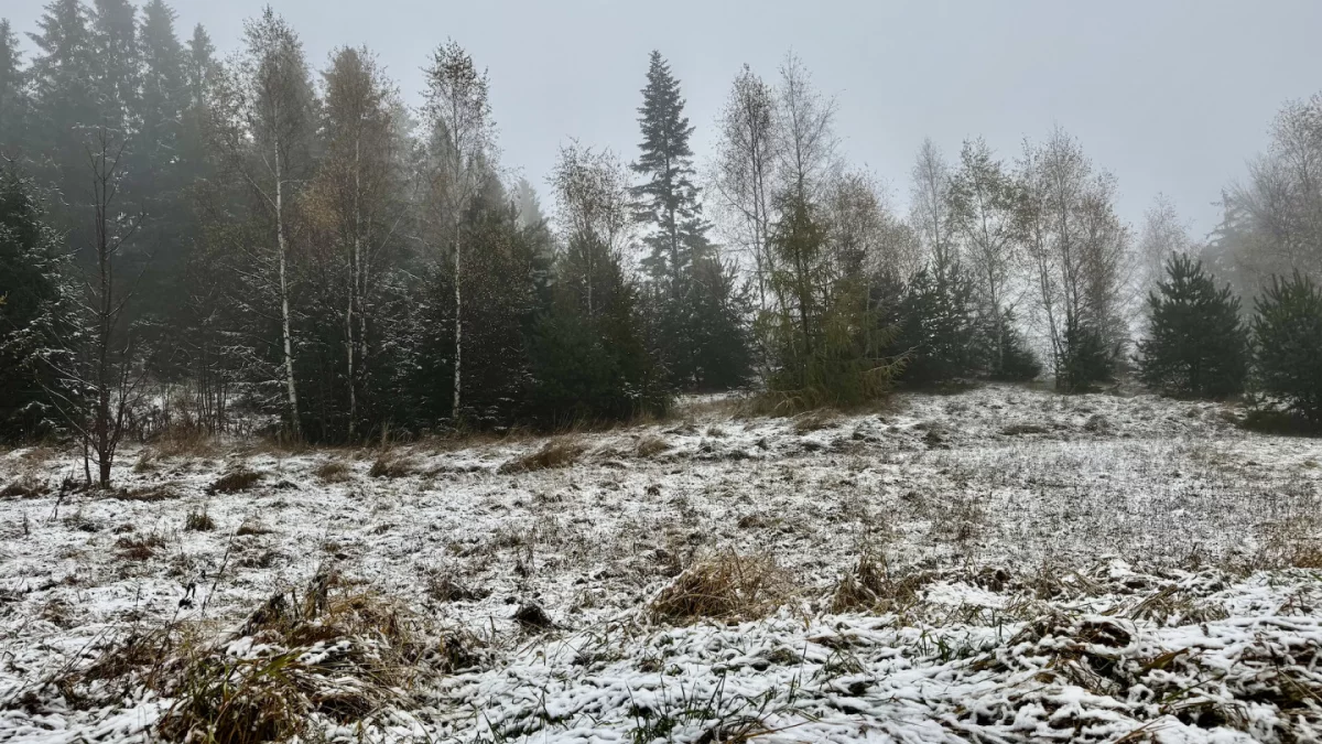 Poniedziałek i wtorek z intensywnymi opadami deszczu i śniegu; temperatura do minus 10 st. C