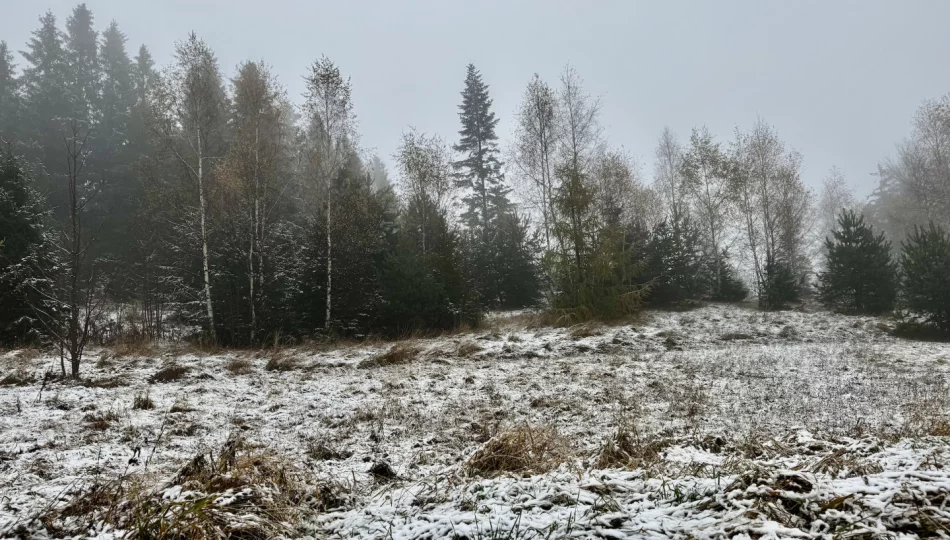 Prognozowane opady śniegu i przymrozki – obowiązują ostrzeżenia - zdjęcie 1