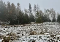 Poniedziałek i wtorek z intensywnymi opadami deszczu i śniegu; temperatura do minus 10 st. C - zdjęcie główne