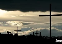 Mogiły, których nikt nie odwiedza - zdjęcie główne