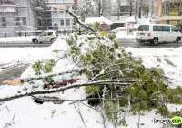 Straż apeluje - zdjęcie główne