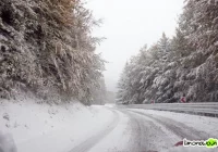 Co będzie z wyścigiem? - zdjęcie główne