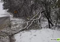 Około 7,5 tysięcy gospodarstw bez prądu - zdjęcie główne