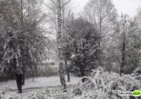 Zima zaatakowała limanowszczyznę - zdjęcie główne