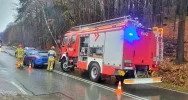 Mandat za spowodowanie kolizji - zdjęcie 3