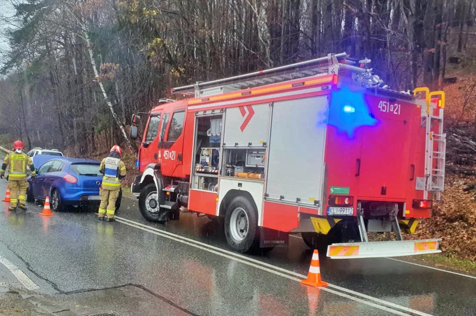 Zderzenie aut na DW 965, dwie osoby w szpitalu - zdjęcie 2